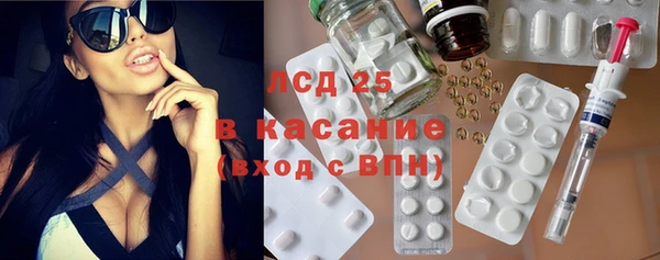 прущие грибы Михайлов