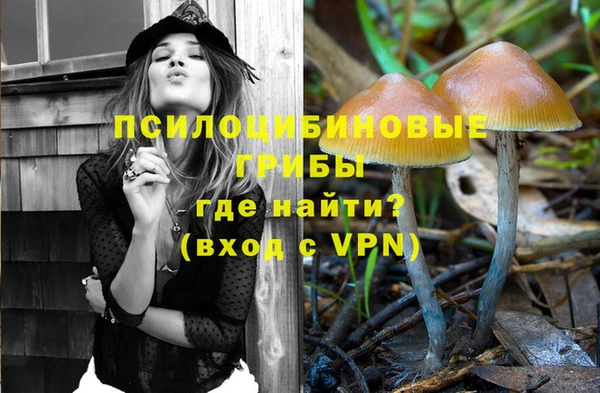 spice Мегион