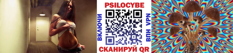 Псилоцибиновые грибы Magic Shrooms  мега зеркало  Мегион  магазин  наркотиков 